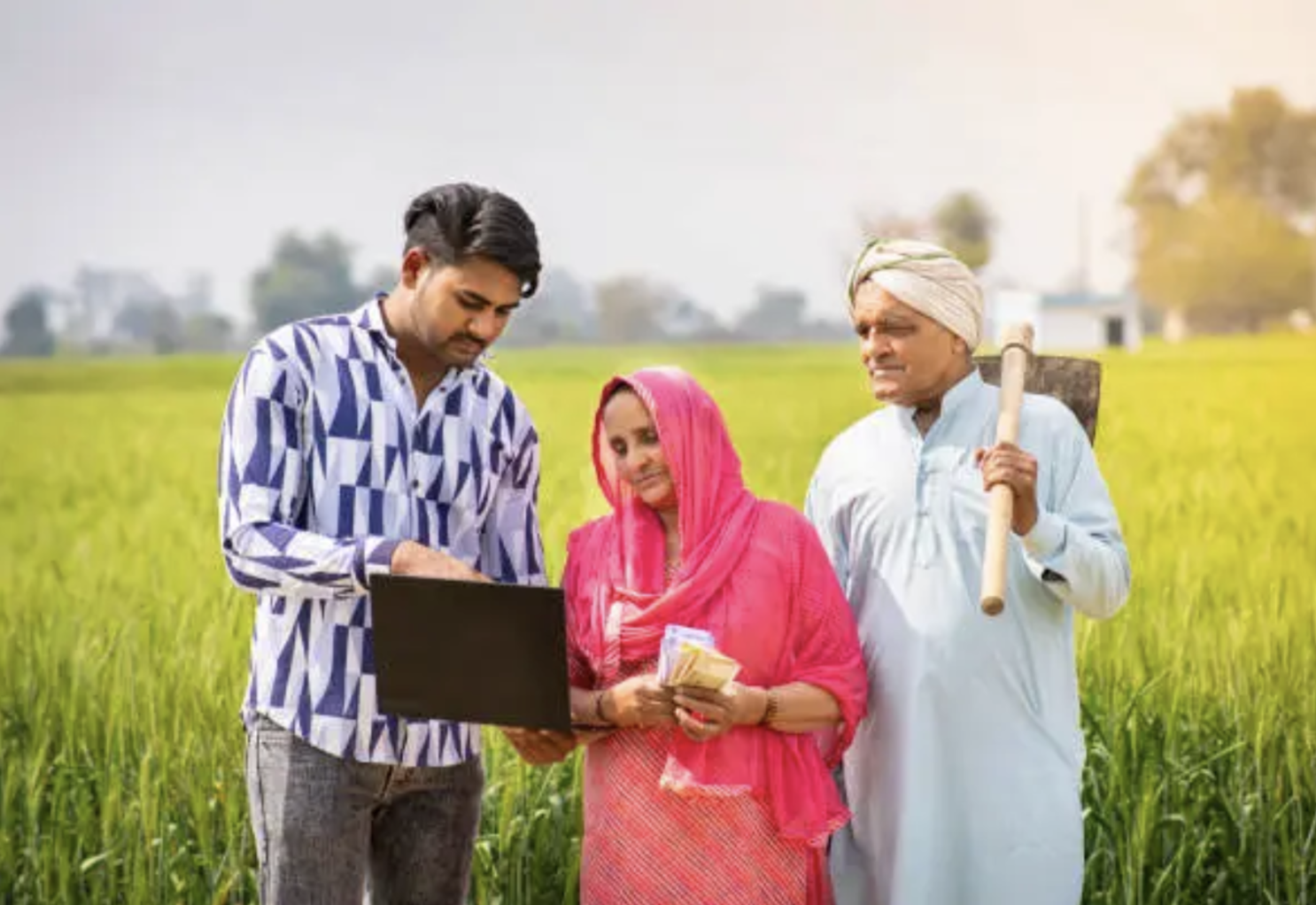 Crop Insurance